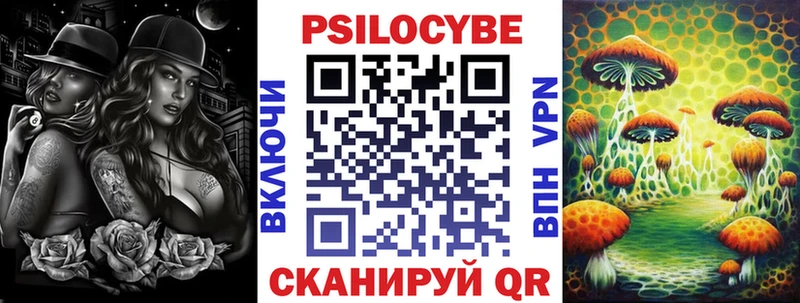 Псилоцибиновые грибы Cubensis  Купить  Волгоград 